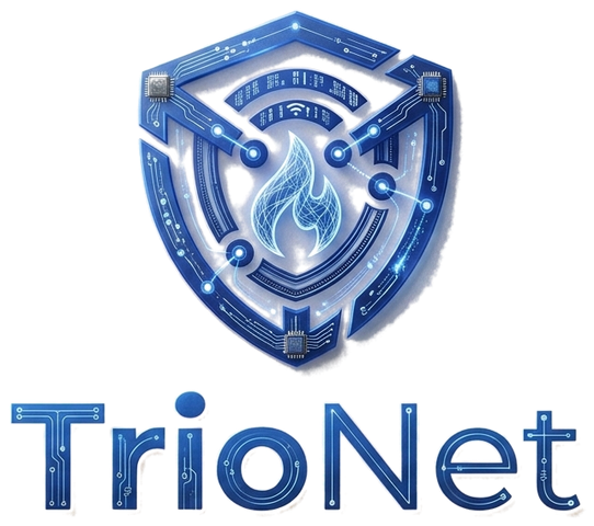 Trionet   Bilişim